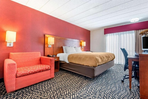Quality Inn image 27